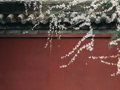 -西安市广仁寺