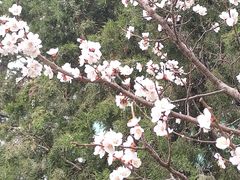 -万泉公园