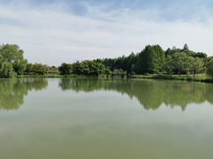 -苏州太湖国家湿地公园