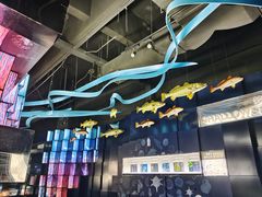 -同济大学四平路校区深海探索馆