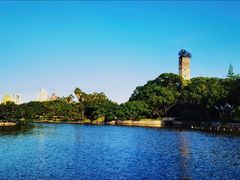 -江心屿景区