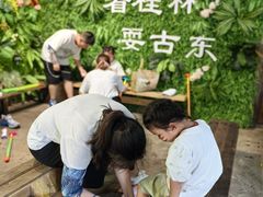 -桂林古东瀑布景区
