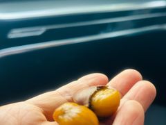 -阿男野栗王(金门路店)