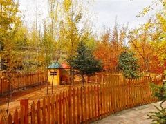 -青藏高原野生动物园