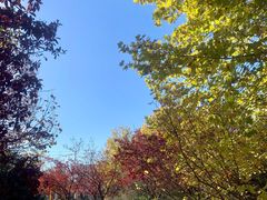 -北京国家会计学院