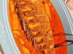 红烧黄河鲤鱼-阿五黄河大鲤鱼(纬三路店)