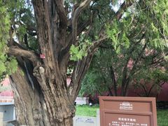 -北京市劳动人民文化宫(太庙)