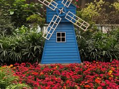 -南宫五洲植物乐园