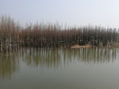 -艾溪湖湿地公园