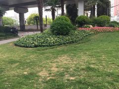 -上海旅游集散中心(万体站)