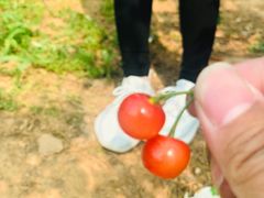 -亮河湾山庄