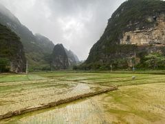 -明仕田园