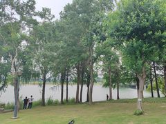 -贡湖湾湿地公园