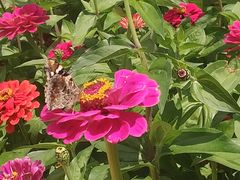 -名花谷生态庄园