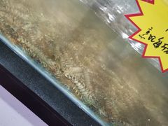 -济南海鲜大市场