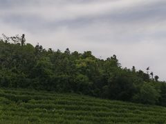-南北湖风景区
