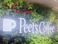 -Peet's Coffee皮爷咖啡(大学路店)