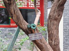 -北京鲁迅博物馆(北京新文化运动纪念馆鲁博馆区)