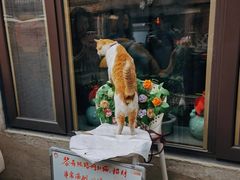 -飞马旅黎黄陂路文旅街区