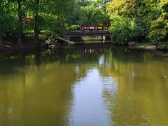 -上海滨江森林公园