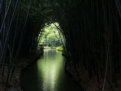 -同里国家湿地公园