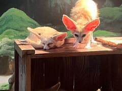 -绿色星球动物主题公园