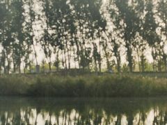 -白洋淀景区