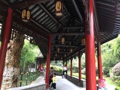 -常州古运河南大街文化旅游区-人民公园