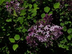 -长春公园(普阳街道)