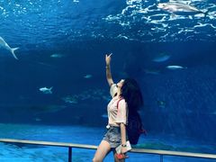 -鹿儿岛水族馆