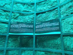 -西峡恐龙遗迹园