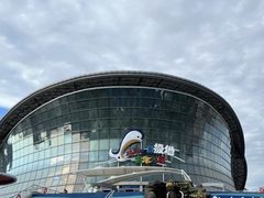 -海合安天津极地海洋公园