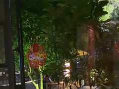 -柴米油盐(土菜院子店)