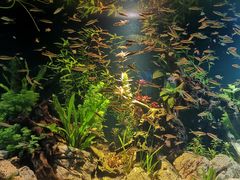 -水上乐园·欢乐世界