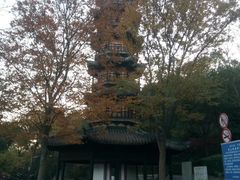 -上海佘山国家森林公园西佘山园