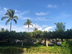 -三亚亚龙湾天域度假酒店