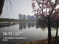 -新江湾城公园