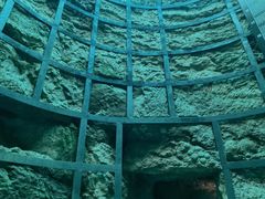 -西峡恐龙遗迹园