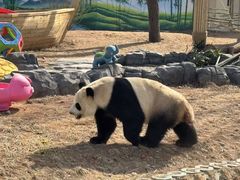 -秦皇岛野生动物园