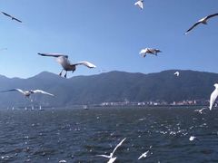 -昆明洲际酒店