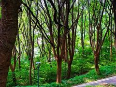 -万达影城(太仓IMAX激光店)