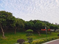 -立新湖公园