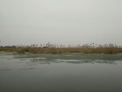 -白洋淀景区
