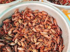 -青石桥市场北1-27号