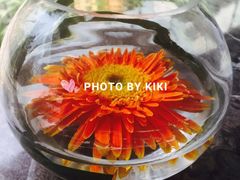 -外滩悦榕庄·海怡西餐厅