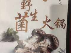 -菌之家·专业纯野生菌火锅·特色炒菌