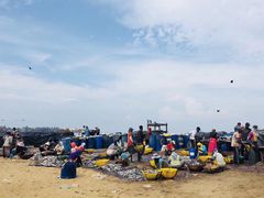 -尼甘布海鲜市场