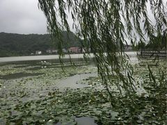 -鸣鹤古镇