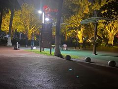-万绿园