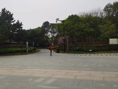 -观潮胜地公园